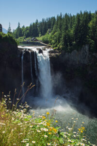 A pulled back view of Snoqualmie Falls showing some wildflowers in the foreground and the full falls in the distance.