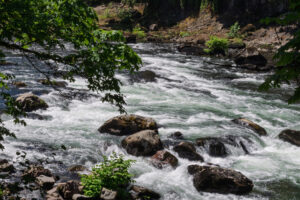 A slower shutter speed shot of the river downstream from the falls showing the rushing white water. 