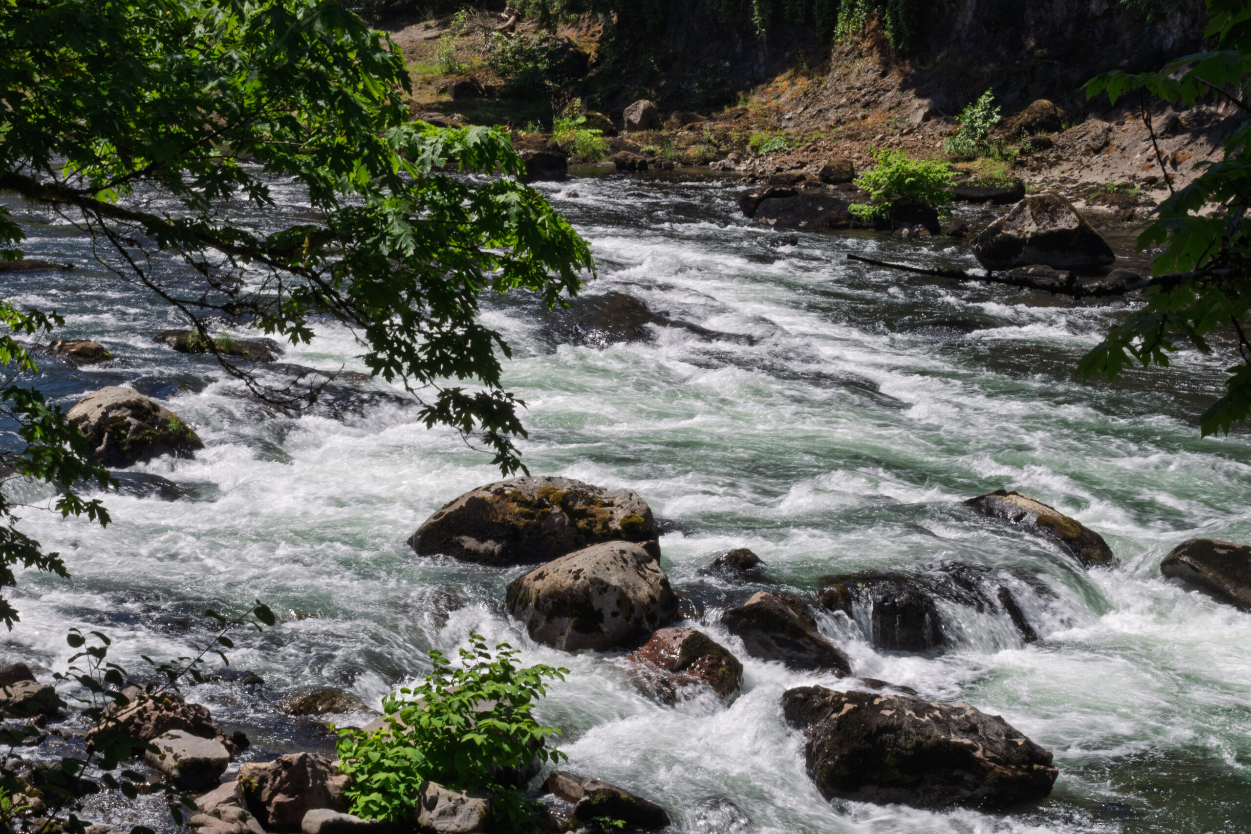 A slower shutter speed shot of the river downstream from the falls showing the rushing white water. 