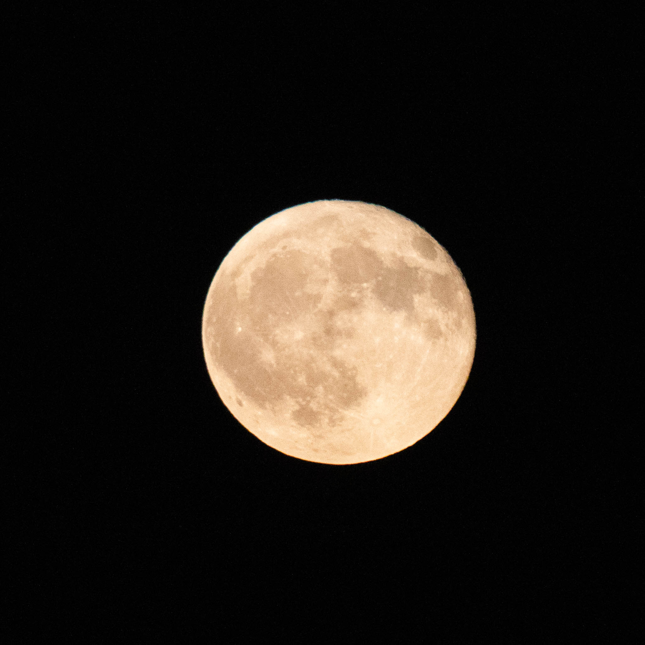 A detailed shot of the August full moon